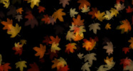 Thumbnail 🍂 Digital Leaves Projection - Autumn Decoration