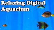 Thumbnail 🦈 Digital Aquarium 
